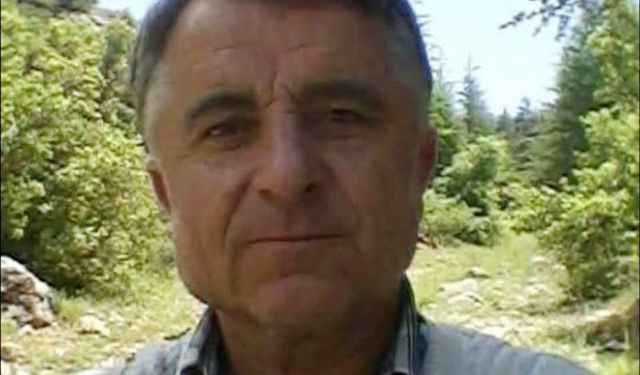 Traktöre bağlayıp sökmek istediği ağaç üzerine devrildi