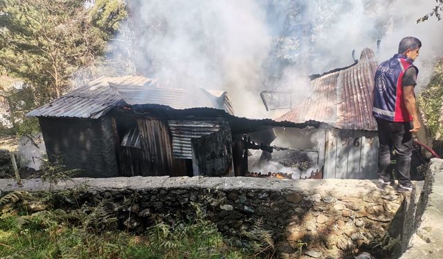 Yayla evinde çıkan yangın ormana sıçramadan söndürüldü