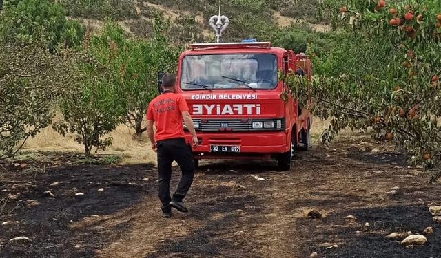 Zirai alan yangını büyümeden kontrol altına alındı