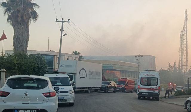 Adana'da OSB'de fabrika yangını