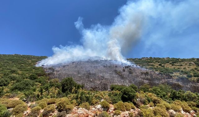 Antalya'da orman yangını / Ek fotoğraflar