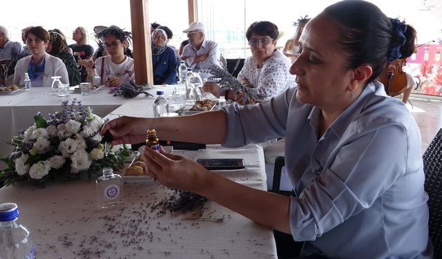 Burdur'da lavanta hasadı