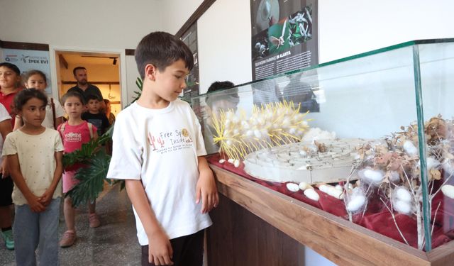 Büyükşehir Sapadere İpek Evi'ne ziyaretçi akını