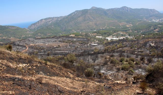 Emekli itfaiyeci evini yanmaktan kurtardı