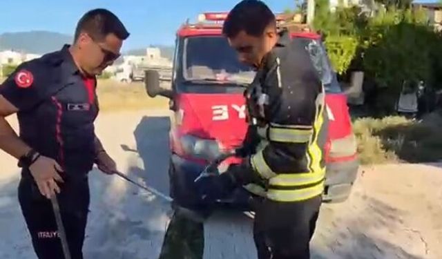 Evin avlusuna giren yılan itfaiye ekipleri tarafından yakalandı