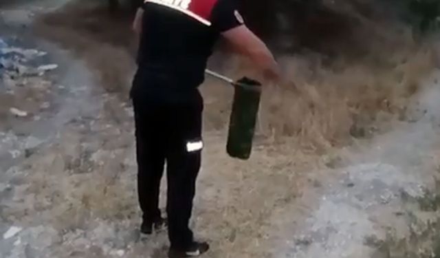 Evin bodrumuna giren yılan itfaiye tarafından yakalandı