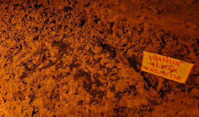 Karataş Marağası'nda 'Antik Yunan' temalı parti