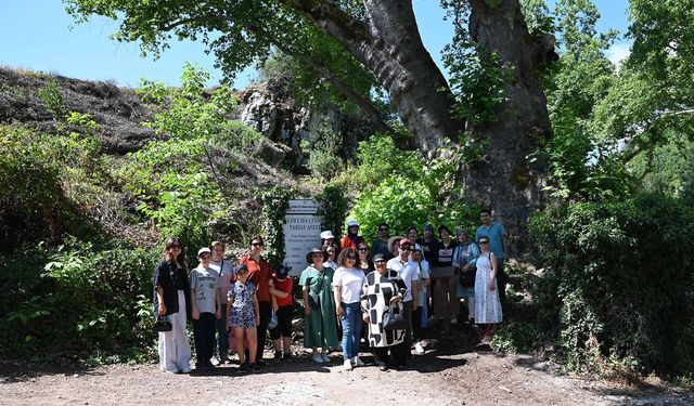 Kemer'de lavanta turizmi başlıyor