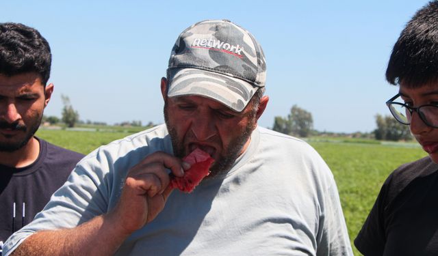 Kilosu 5 TL'ye düşen karpuz, marketlerde 17 TL