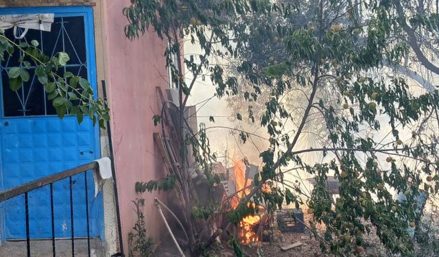 Kumluca'da orman yangını (5)