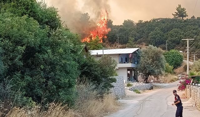 Kumluca'da orman yangını / Ek fotoğraflar