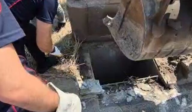 Mazgala düşen kedi itfaiye tarafından kurtarıldı