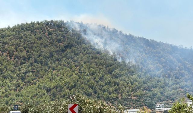 Mersin'deki orman yangını ikinci gününde kontrol altına alındı