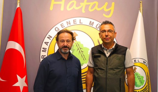 Orman yangınları masaya yatırıldı
