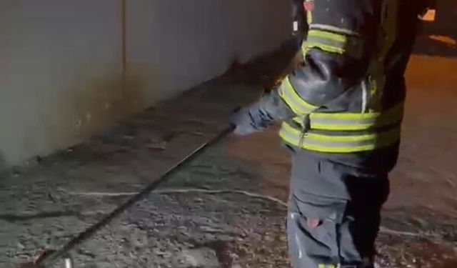 Osmaniye'de eve girmeye çalışan zehirli engerek, yakalanıp doğaya bırakıldı