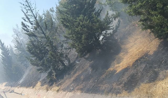 Osmaniye'de ormanlık alana sıçrayan yangın söndürüldü