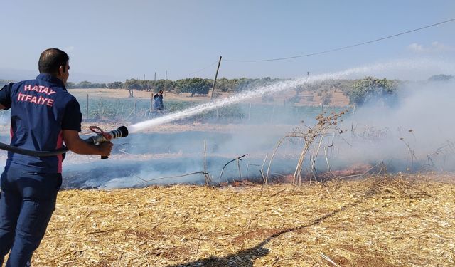Reyhanlı'da anız yangını söndürüldü