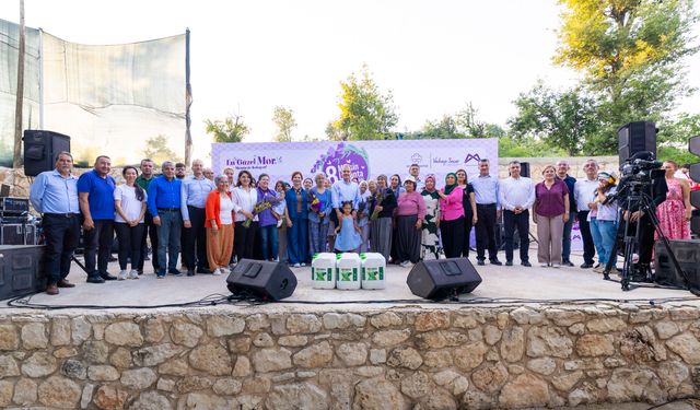 Silifke'de renkli lavanta hasadı