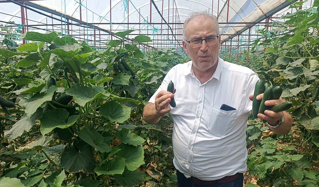 Üreticiler DMD'li Süleyman için seferber oldu