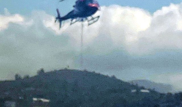 Zirai alandaki yangın büyümeden söndürüldü
