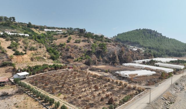Alanya ve Gazipaşalı yangınzede üreticilere sera naylonu desteği