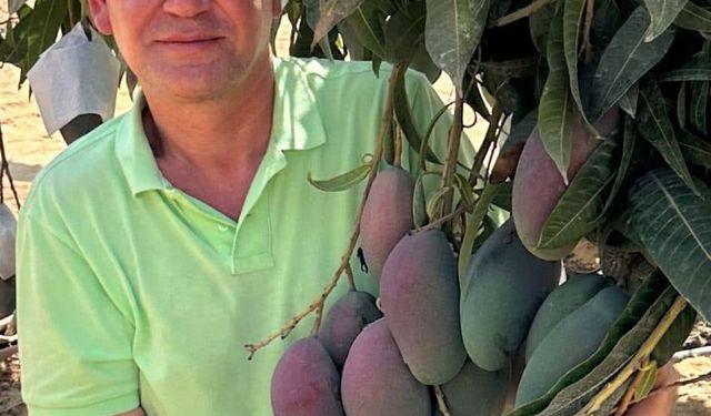 Alanya'da eşini bıçaklayıp, binanın çatısında intihar girişiminde bulundu