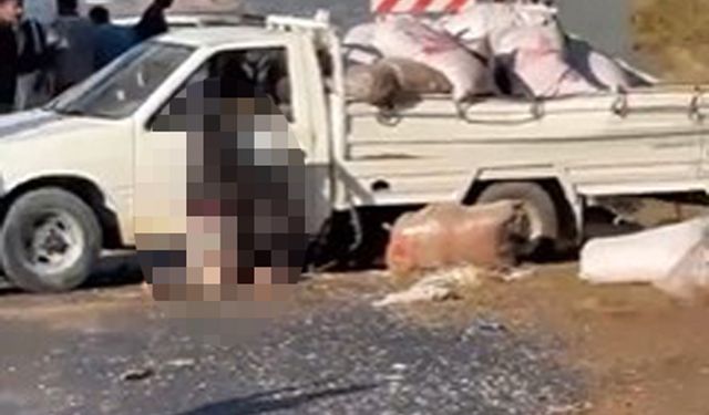 Alanya'da kaza yapan kamyonet sürücüsü yaşamını yitirdi