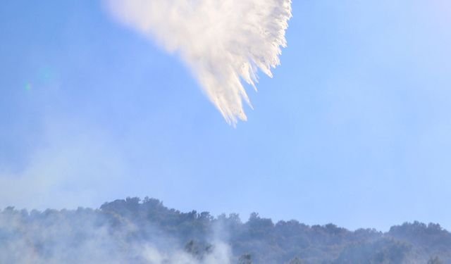 Antalya'da 2 günde 38 yangın