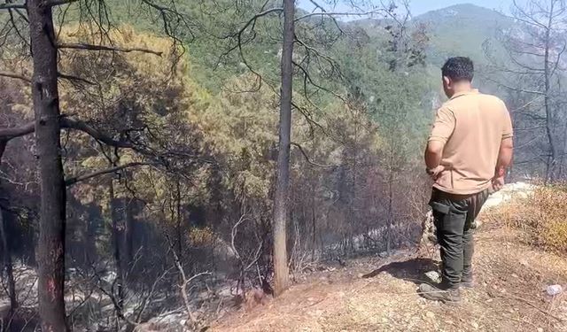 Antalya'da orman yangını (2)