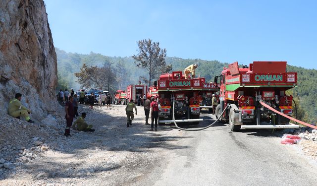 Antalya'da orman yangını (3)