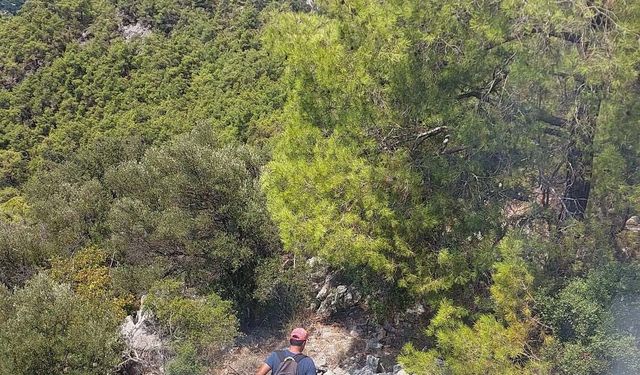 Antalya'da orman yangını / Ek fotoğraflar