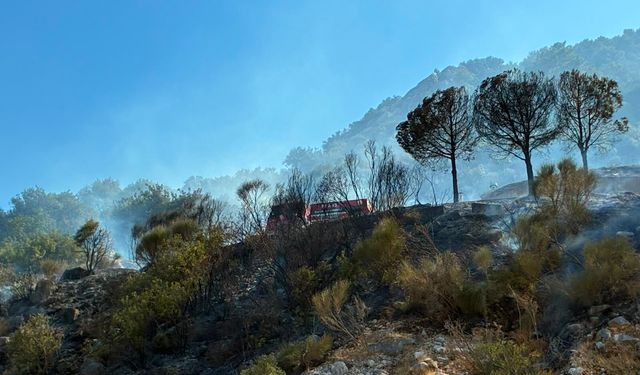 Antalya'nın 2 ilçesinde orman yangını / Ek fotoğraflar