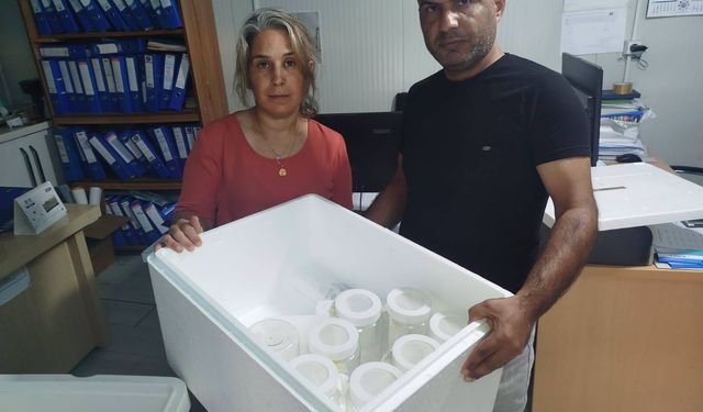 Hatay'da 57 bin adet faydalı böcek doğaya salındı