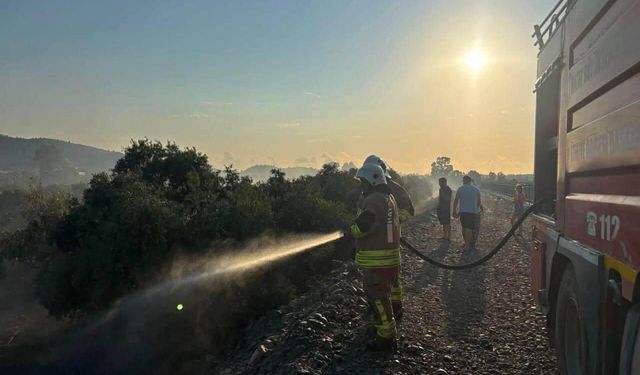 Hatay'da bahçe yangını söndürüldü