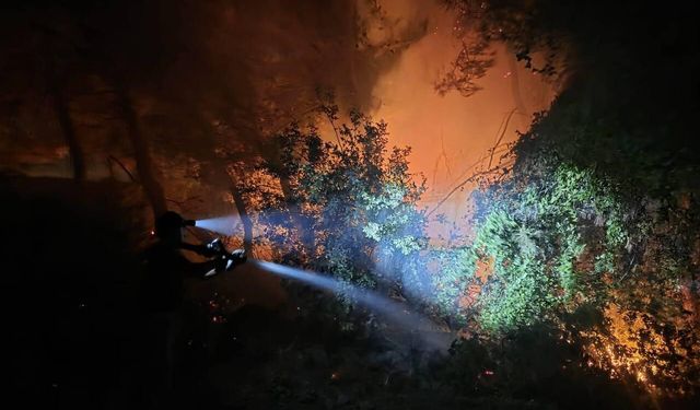 Hatay'da orman yangını büyümeden söndürüldü