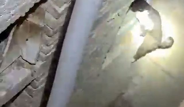 Havalandırma boşluğuna düşen kedi, kurtarma ekibini görünce kaçtı