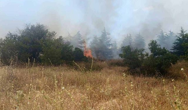 Isparta'da orman yangını büyümeden kontrol altına alındı