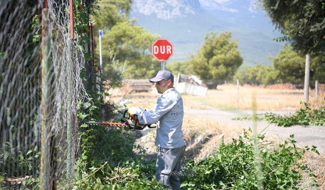 Konyaaltı'nda yangına karşı budama çalışması