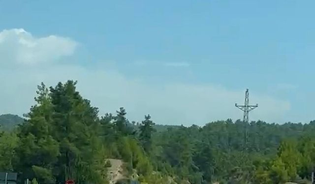 Manavgat'ta iki otomobil çarpıştı: 1 ölü, 2 yaralı