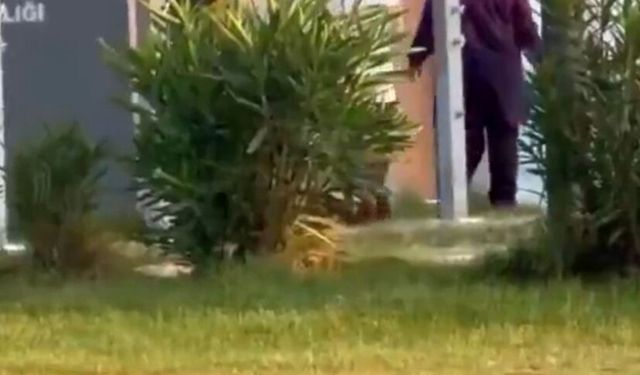 Plajda tesettürlü kadınları görüntüleyip hakaret edenlere soruşturma