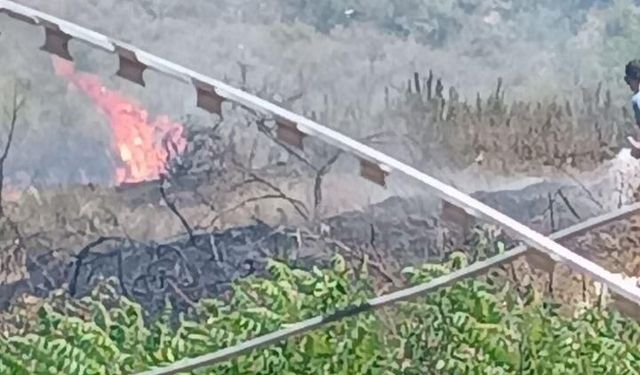 Suriye sınırında çıkan orman yangını büyümeden söndürüldü