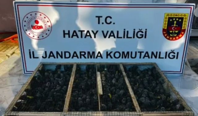 Traktörün römorkunda 2 bin 114 saka ele geçirildi; sürücüye 19,8 milyon TL ceza kesildi