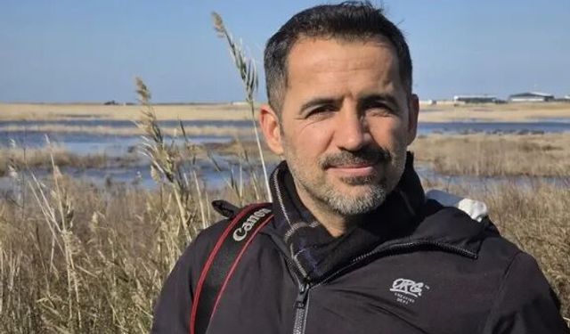 Yönlerini şaşıran yeşil deniz kaplumbağaları, araçların altında kalıp öldü (2)
