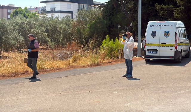 Zeytinlikte elleri arkadan bağlı cesedi bulundu