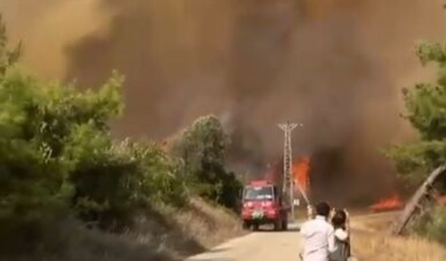 Adana'da 2 farklı bölgede orman yangını (2)