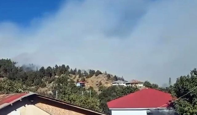 Adana'da 2 farklı bölgede orman yangını (3)