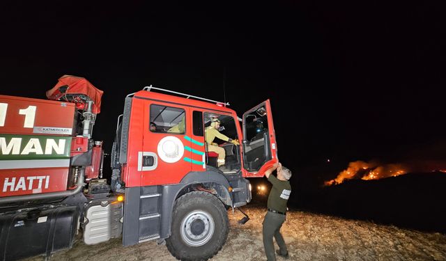 Adana'da çöplük alanda yangın