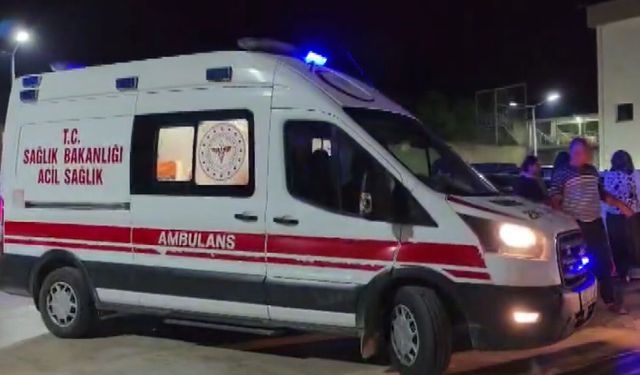 Adana'da otomobilin çarptığı yayaya ağır yaralandı