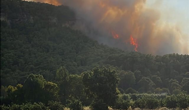 Antalya Aksu'da orman yangını /Ek fotoğraflar