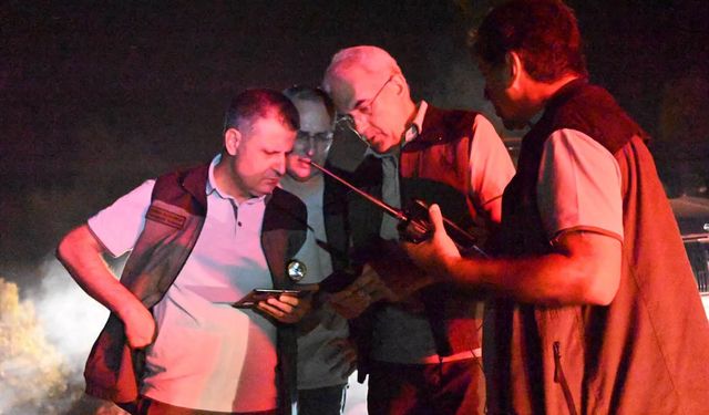 Antalya Serik'teki orman yangınının enerjisi düşürüldü